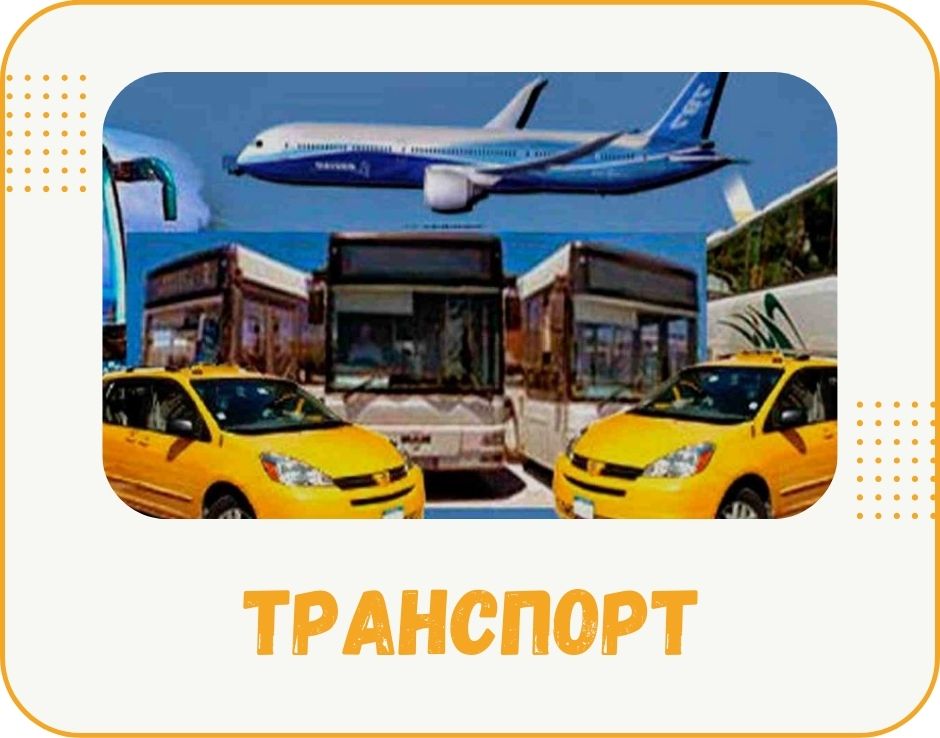 transport